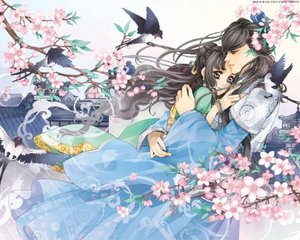51大赛mrds